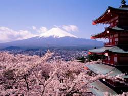 World Travel Market to examine tourism potential of Brazil and Japan World Travel Market to examine tourism potential of Brazil and Japan
