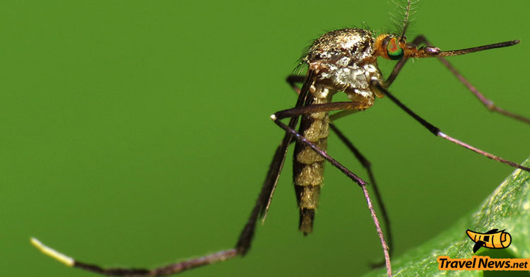 Growing Concern Over Zika Virus Prompts More Warnings